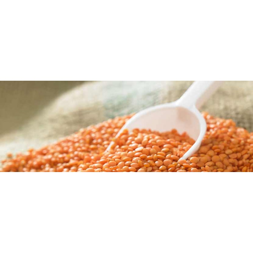 Red Masoor Dhuli Dal 500g