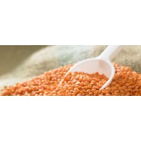 Red Masoor Dhuli Dal 500g