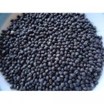Sabut Black Urad Dal 500g