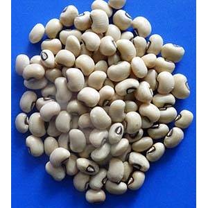 Cowpea (Lobia) White - 500g