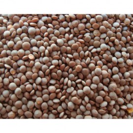 Masoor Dal Sabut - 500g